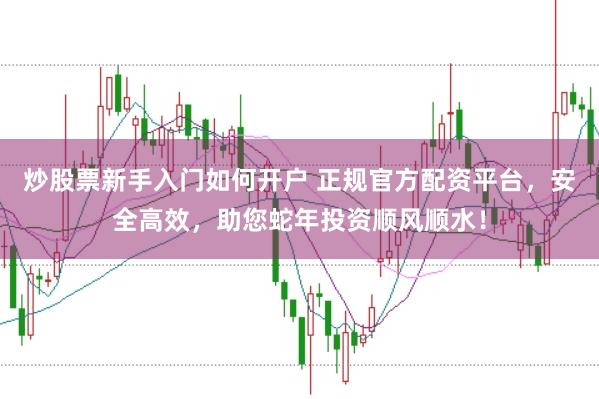 炒股票新手入门如何开户 正规官方配资平台，安全高效，助您蛇年投资顺风顺水！