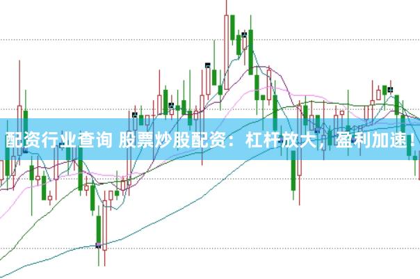 配资行业查询 股票炒股配资：杠杆放大，盈利加速！