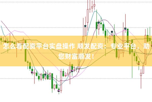 怎么看配资平台实盘操作 顺发配资：专业平台，助您财富顺发！