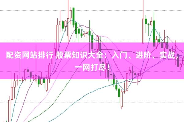 配资网站排行 股票知识大全:入门、进阶、实战,一网打尽!