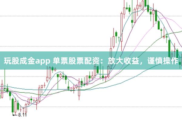 玩股成金app 单票股票配资:放大收益,谨慎操作