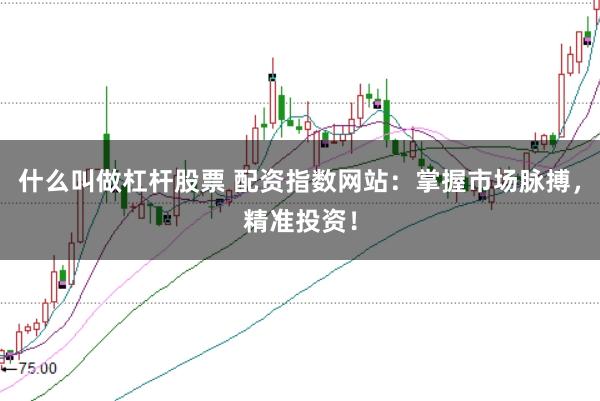 什么叫做杠杆股票 配资指数网站:掌握市场脉搏,精准投资!