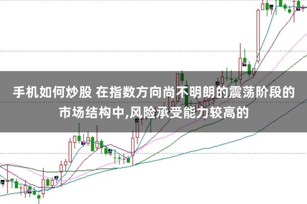 手机如何炒股 在指数方向尚不明朗的震荡阶段的市场结构中，风险承受能力较高的