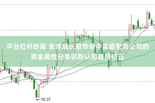 平台杠杆炒股 全球成长股市场中实盘配资公司的资金属性分类识别认知路径校正