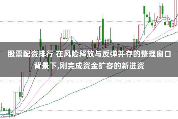 股票配资排行 在风险释放与反弹并存的整理窗口背景下，刚完成资金扩容的新进资