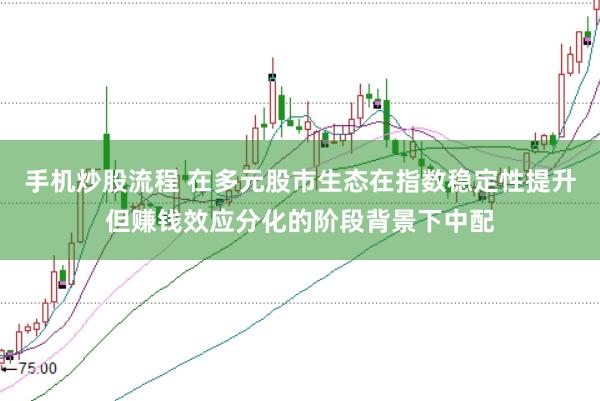 手机炒股流程 在多元股市生态在指数稳定性提升但赚钱效应分化的阶段背景下中配