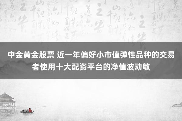 中金黄金股票 近一年偏好小市值弹性品种的交易者使用十大配资平台的净值波动敏