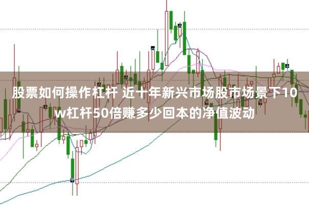 股票如何操作杠杆 近十年新兴市场股市场景下10w杠杆50倍赚多少回本的净值波动