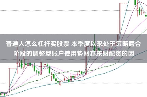 普通人怎么杠杆买股票 本季度以来处于策略磨合阶段的调整型账户使用势图鑫东财配资的因