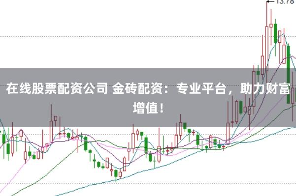 在线股票配资公司 金砖配资:专业平台,助力财富增值!
