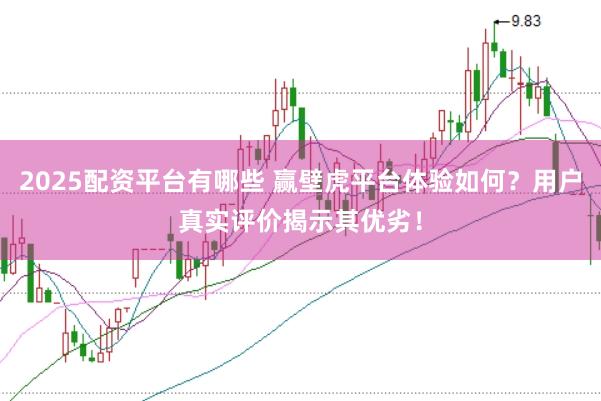 2025配资平台有哪些 赢壁虎平台体验如何?用户真实评价揭示其优劣!