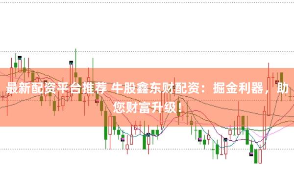 最新配资平台推荐 牛股鑫东财配资：掘金利器，助您财富升级！