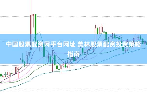 中国股票配资网平台网址 美林股票配资投资策略指南