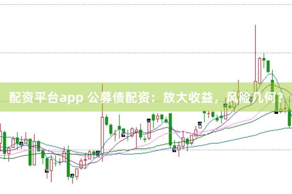 配资平台app 公募债配资：放大收益，风险几何？